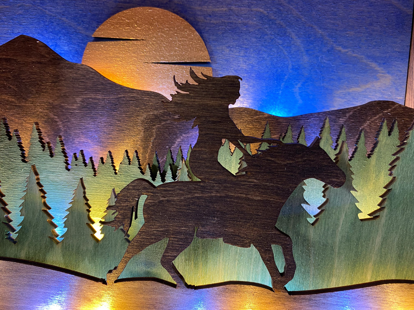 'FREE SPIRIT' - Illuminated Shadowbox